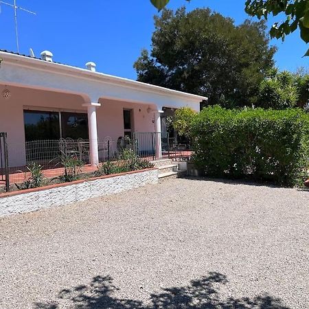 Beautiful Private Villa With Pool, Boliqueime, Loule Dış mekan fotoğraf
