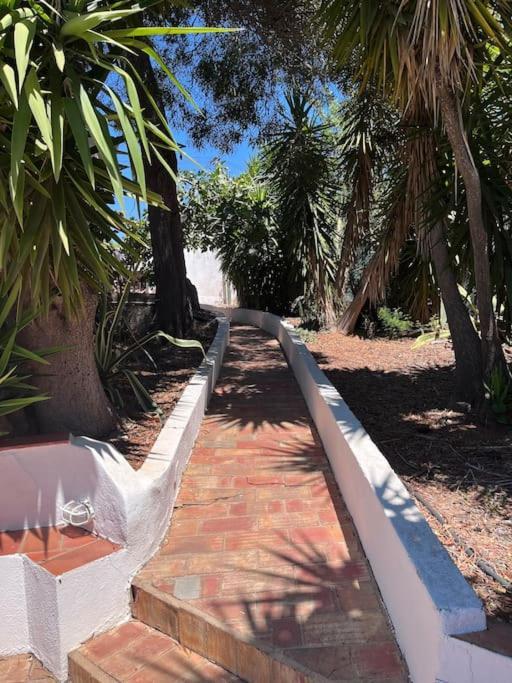 Beautiful Private Villa With Pool, Boliqueime, Loule Dış mekan fotoğraf
