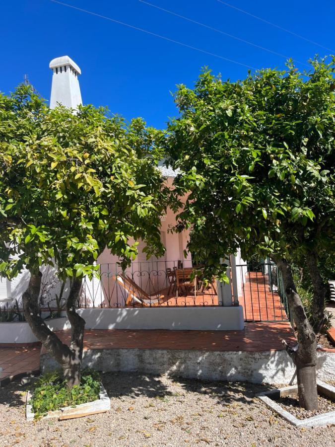 Beautiful Private Villa With Pool, Boliqueime, Loule Dış mekan fotoğraf