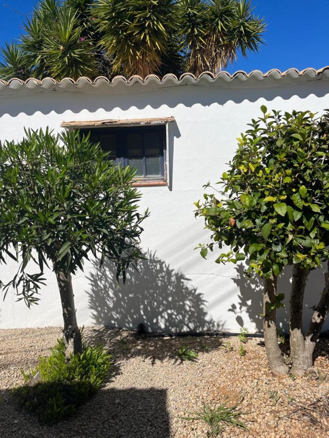 Beautiful Private Villa With Pool, Boliqueime, Loule Dış mekan fotoğraf